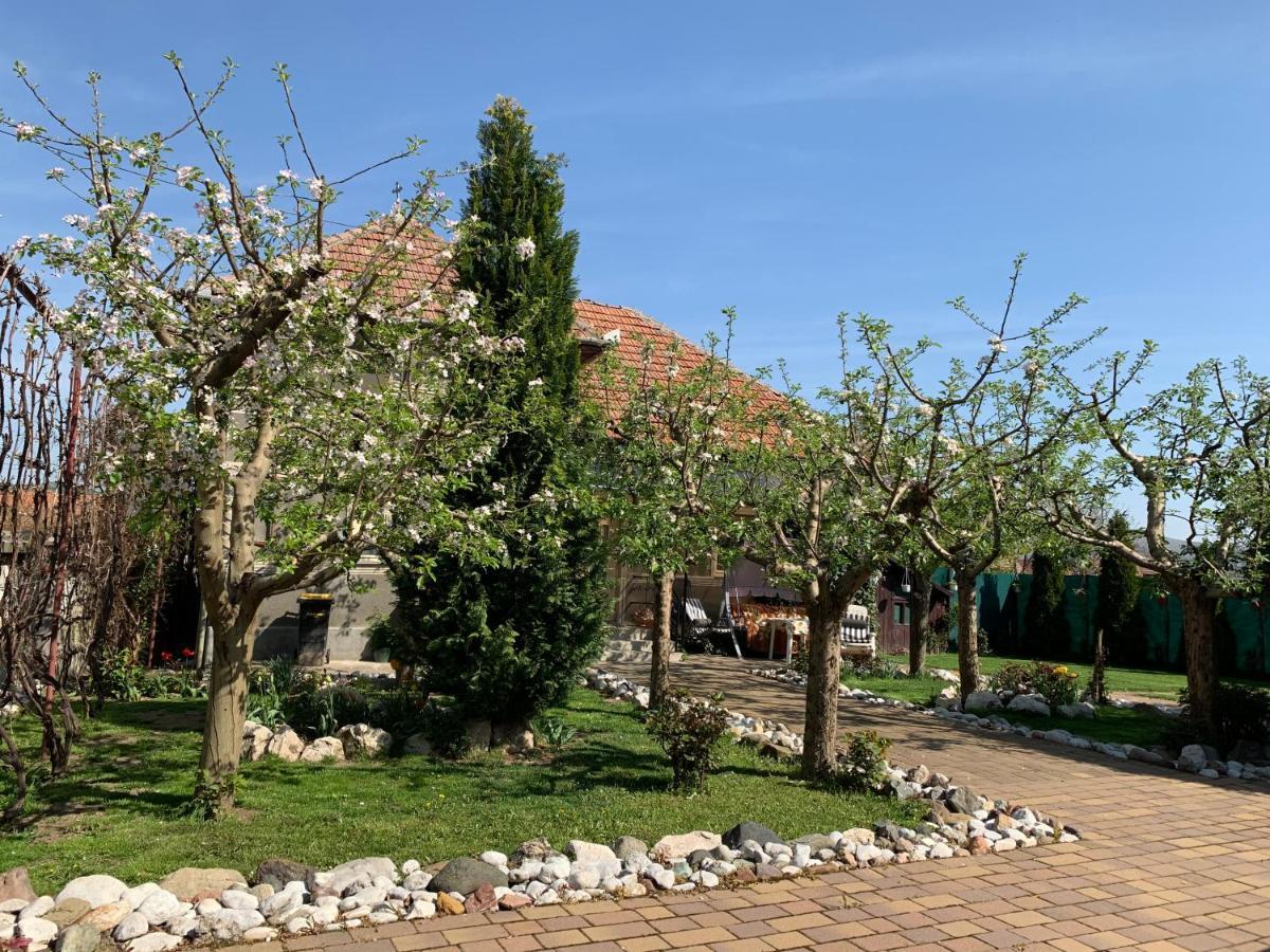 Casa Lui Mosu Villa Alba Iulia Luaran gambar